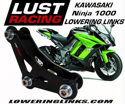 Kawasaki Ninja 1000 lowering links 1.2